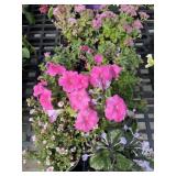 Flat of Mixed Flowers