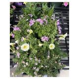 Flat of Mixed Flowers