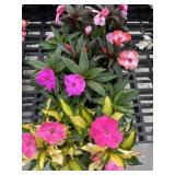 Flat of Mixed Flowers