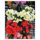 Flat of Mixed Flowers