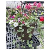 Mixed Planter