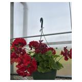 10' Hanging Basket