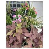 Flat of Mixed Flowers