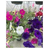 10' Hanging Basket