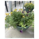 12' Hanging Basket