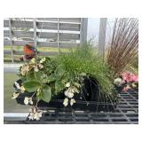 Flat of Mixed Flowers