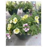 12' Hanging Basket