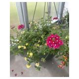 12' Hanging Basket