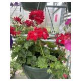 10' Hanging Basket