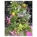 Flat of Mixed Flowers