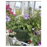 12' Hanging Basket