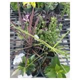 Flat of Mixed Flowers