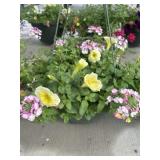 12' Hanging Basket