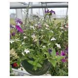 12' Hanging Basket