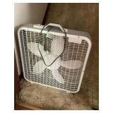 Fan