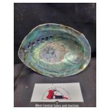 Iridescent abalone shell