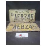 Vintage Iowa license plates