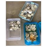 Tea dishes