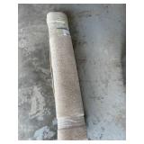 Area Rug