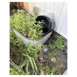 Galvanized wash bin