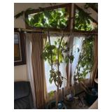 Umbrella tree?
