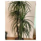 73 in artificial plant