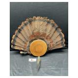Turkey feathers