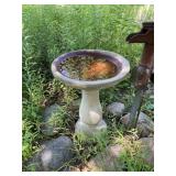 Bird Bath