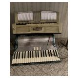 Elettea accordian