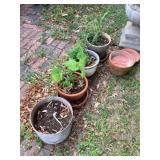 Flower pots
