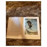 Symbol of our nation brochure