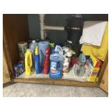 Cleaning supplies and misc