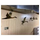 Hanging geese and lantern
