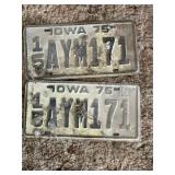 License plates