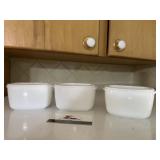 Refrigerator dishes with lids