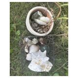 Shells and planter