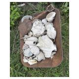 Metal Tray with Shells