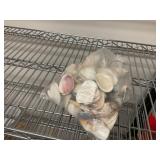 Seashells