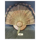 Turkey feathers
