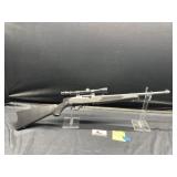 Ruger 10/22 with Weaver scope