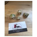 Mini frogs and shell decor