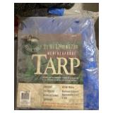 Tarp