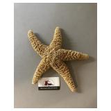 Star fish