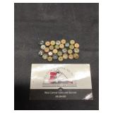Rainforest Jasper beads