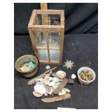 Seashells