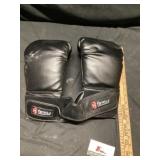 Ferrells 16 ounce boxing gloves