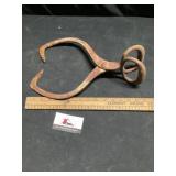 Ice tongs