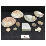 Shell and rock collection in crate