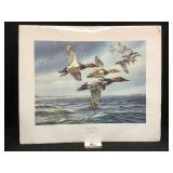 Ducks Unlimited Print