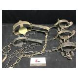 Coil Spring and Long Spring Traps